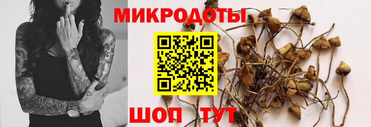 Псилоцибиновые грибы мухоморы  Галлюциногенные грибы ЛСД  Вход с VPN  магазин продажи   Грозный 